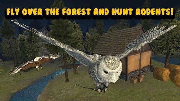 èͷӥģ�������İ�׿�棨Owl Bird Survival��ͼ2: