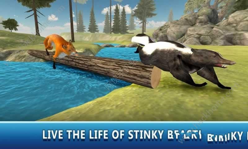 ģϷ׿ֻ棨Skunk Animal Survivalͼ1: