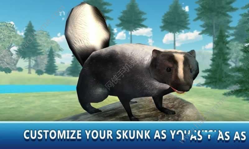 ģ°׿棨Skunk Animal Survivalͼ3: