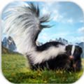 ģ°׿棨Skunk Animal Survival v1.0