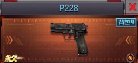 P228