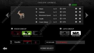 ַt¹Nc Wild Animals¹c]DƬ1