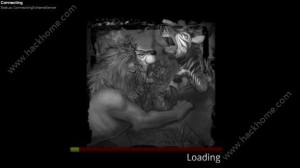 ַtϻNi Wild AnimalsϻN@ÈDƬ1