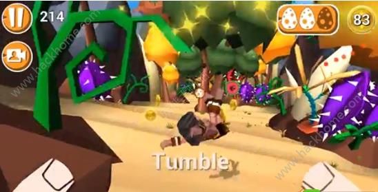 Faily TumblerΑ°׿D4: