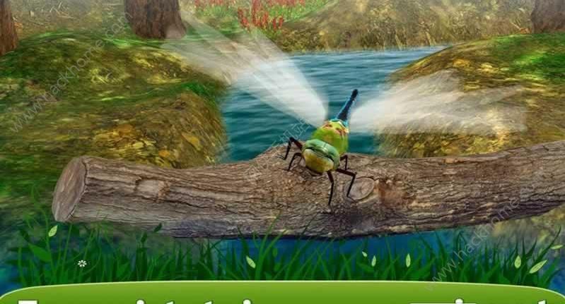 ģM3D°׿棨Dragonfly Insect Simulator 3DD1: