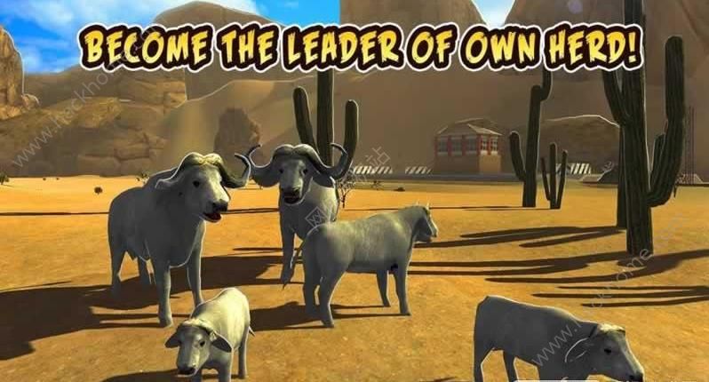 ˮţģM°׿棨Buffalo Sim Bull Wild LifeD1: