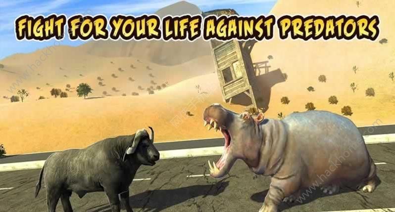 ˮţģM°׿棨Buffalo Sim Bull Wild LifeD2: