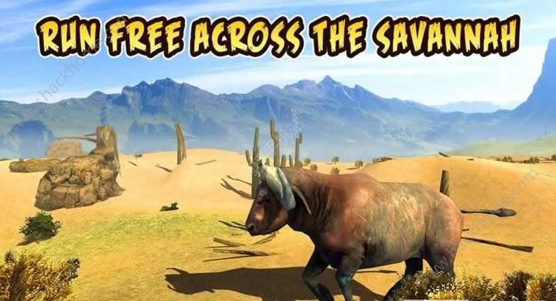 ˮţģM°׿棨Buffalo Sim Bull Wild LifeD3: