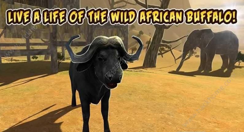ˮţģM°׿棨Buffalo Sim Bull Wild LifeD4:
