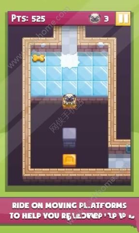 �˸�Ȯð�����İ�׿�棨Pug��s Quest��ͼ2: