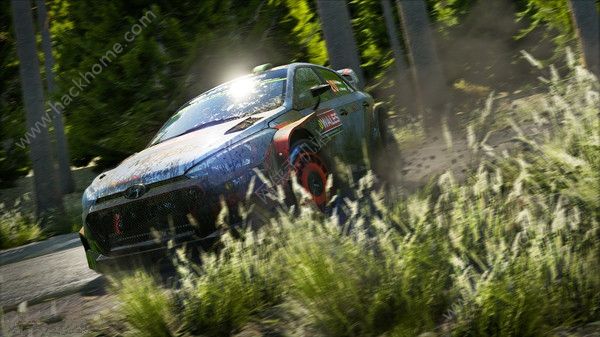 ܇\ِ7hİ׿棨WRC 7D4: