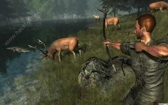 RdÓ°׿棨Amazon Jungle Survival EscapeD3: