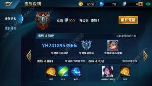 Ӣ֮пڴVIPX VIPʲNؙDƬ4