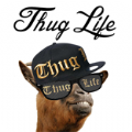 ThugLife軟件