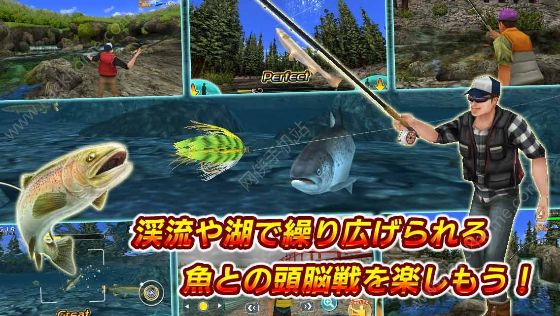 3DӬ2Ϸ׿°棨Fly Fishing 3D 2ͼ3: