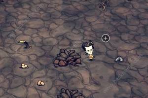ĺԴȫ Dont Starve Shipwrecked漼ɿDƬ8