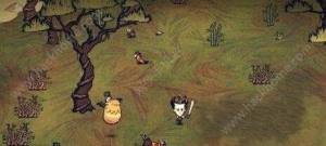 ĺԴȫ Dont Starve Shipwrecked漼ɿDƬ11