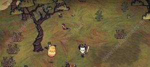 ĺ̲Դȫ Dont Starve Shipwrecked漼ܻͼƬ11