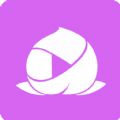 Ƶѹappذװ v1.0.0