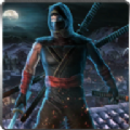 սӢ۰׿棨Ninja War Hero v1.0
