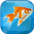 ˮ�������3D��ʯ��׿�棨AquaLife 3D�� v1.2.8