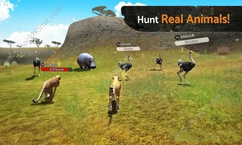 �Ա�ģ��OL��ʯ��׿�棨TheCheetah��ͼ1: