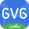 GVGũɼapp