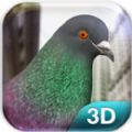 СģϷĺ°棨Pigeon Simulator v1.21