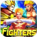 ҫ֮ս׿ĺ棨Fighters v1.31.4.29