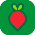 叮咚買菜app官方下載安裝 v11.4.1
