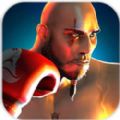 3DȭϷĺ棨Boxing 3D Real Punch Games v1.2