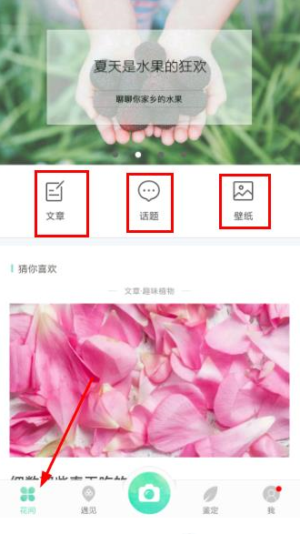 ��ɫapp��ʲô����ɫapp������