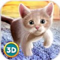 èģ3DϷ׿棨Home Cat Survival Simulator 3D v1.0