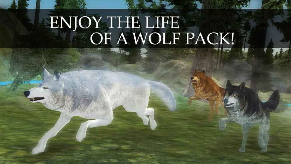ҰϷĺ棨Wild Wolf Quest Onlineͼ2: