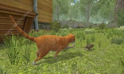 ģİ׿棨Rat Simulatorͼ2:
