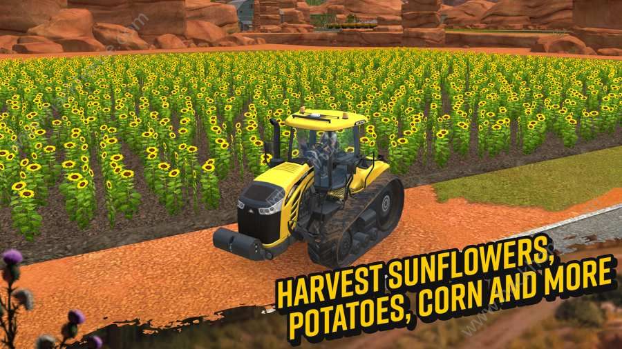 Farming Simulator 18ʯ°׿ͼ5: