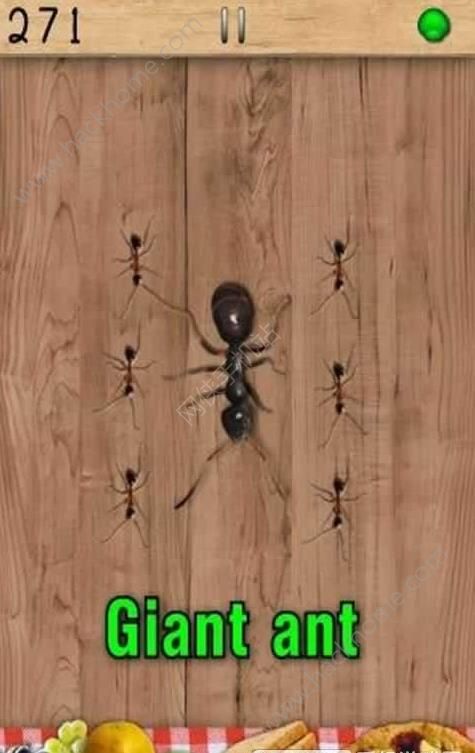 Ϸ׿°棨Ant Smasherͼ4: