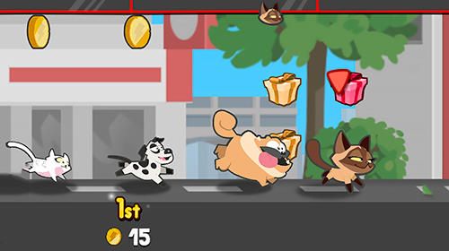 ِ[hİ棨Pets raceD5: