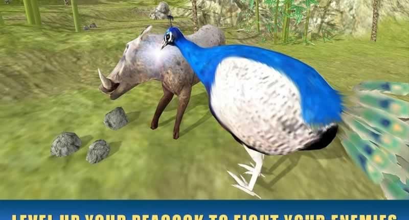 ģMȸ[׿İ棨Peacock SimulatorD1:
