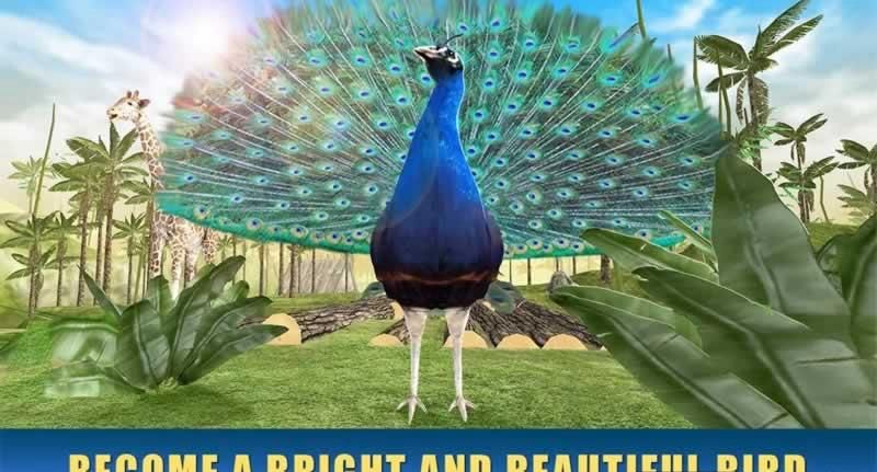 ģMȸ[׿İ棨Peacock SimulatorD4: