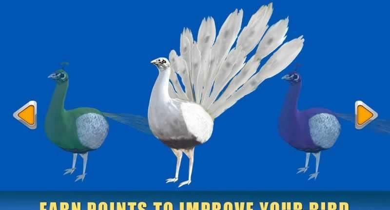 ģMȸ[׿İ棨Peacock SimulatorD3: