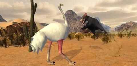 3DģϷĺ棨Ostrich Bird Simulator 3Dͼ2: