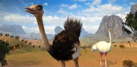 3DģϷĺ棨Ostrich Bird Simulator 3Dͼ1: