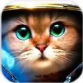 װèϷعٷ׿棨Armored Kitten v0.8