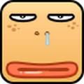 2Bվappذװֻ v1.0