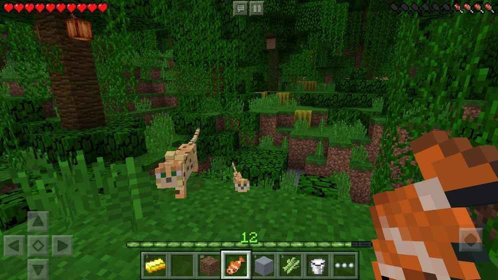 ҵ°׿棨Minecraft Pocket EditionD1: