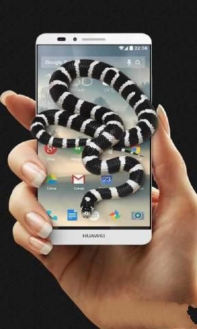 ׿棨iSnake Snake in handD3: