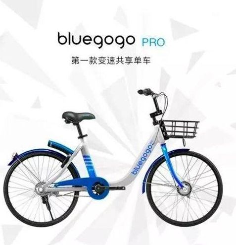 СٵʲôСbluegogo Pro[ͼ]ͼƬ1