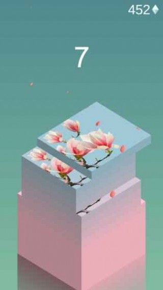 Block Tower[°D1: