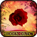 صĶҰǾޱϷİ棨Hidden Object Briar Rose v1.0.0